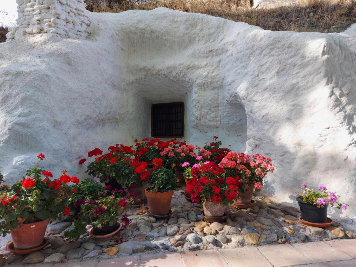 بازا Cueva El Guindas المظهر الخارجي الصورة